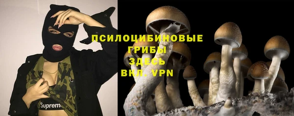альфа пвп Заволжск