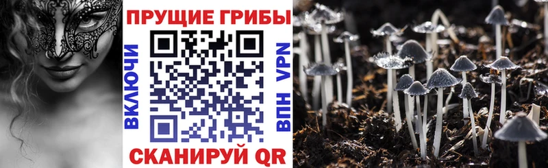 Галлюциногенные грибы Magic Shrooms  Протвино 