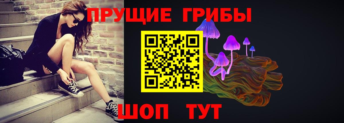 купить наркотики цена  Вход с VPN  Протвино  Галлюциногенные грибы GOLDEN TEACHER 